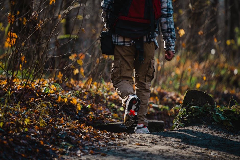 A person hiking a scenic fall forest trail surrounded by vibrant autumn leaves.